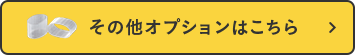 その他オプションはこちら