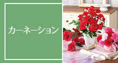 カーネーションの造花アレンジ・装飾特集