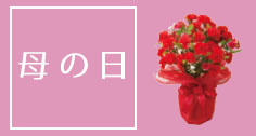 母の日特集
