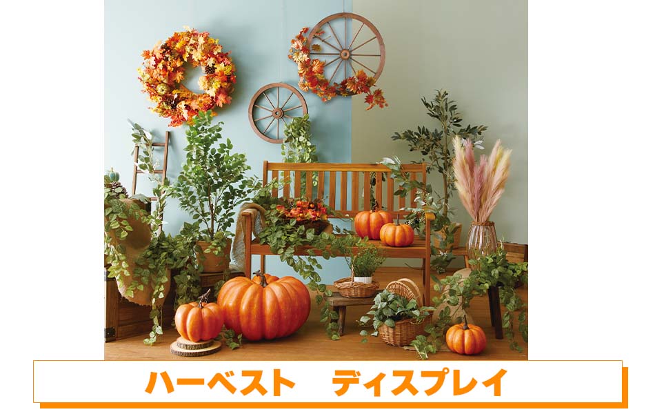 ハーベスト　ディスプレイ