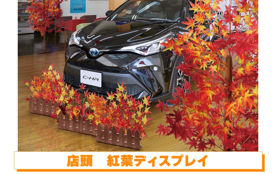 店頭　紅葉ディスプレイ