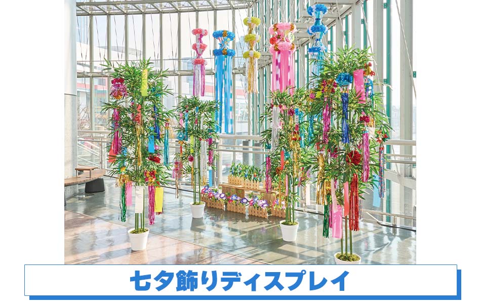 七夕装飾ディスプレイ
