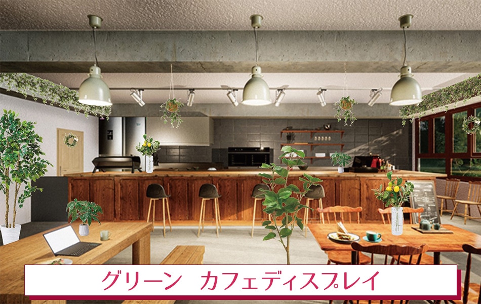 グリーン カフェディスプレイ