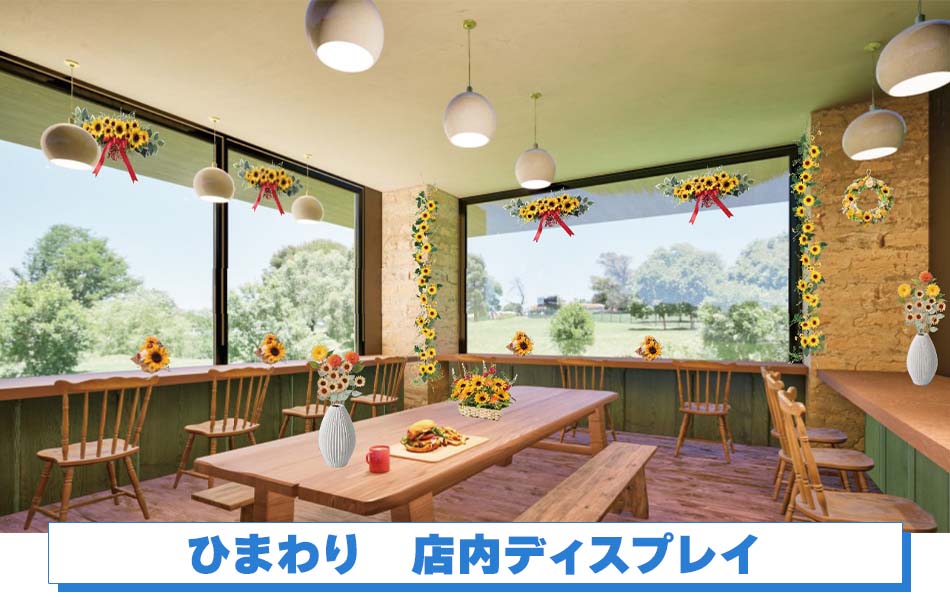 ひまわり　店内ディスプレイ