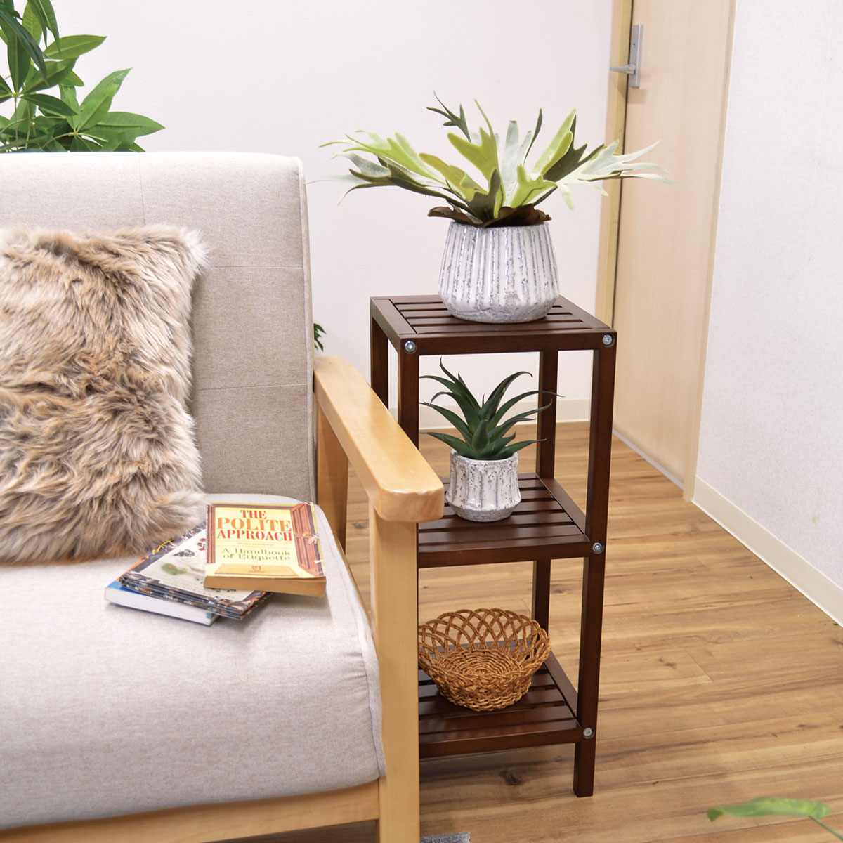 (3)コウモリラン 使用例