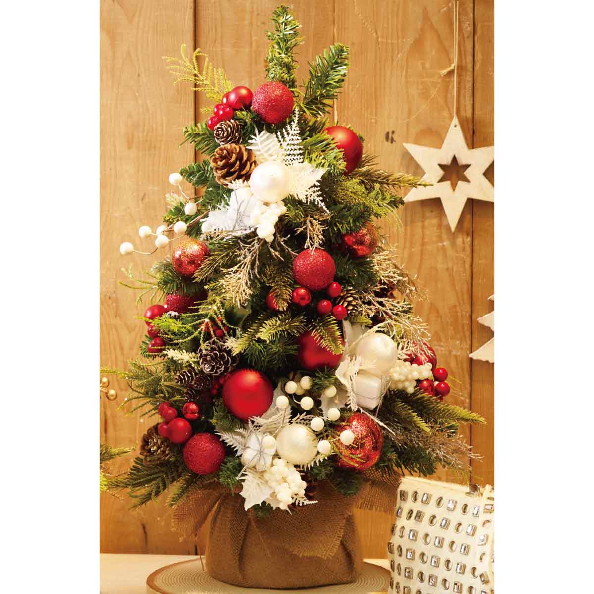 (1)レッド 使用例