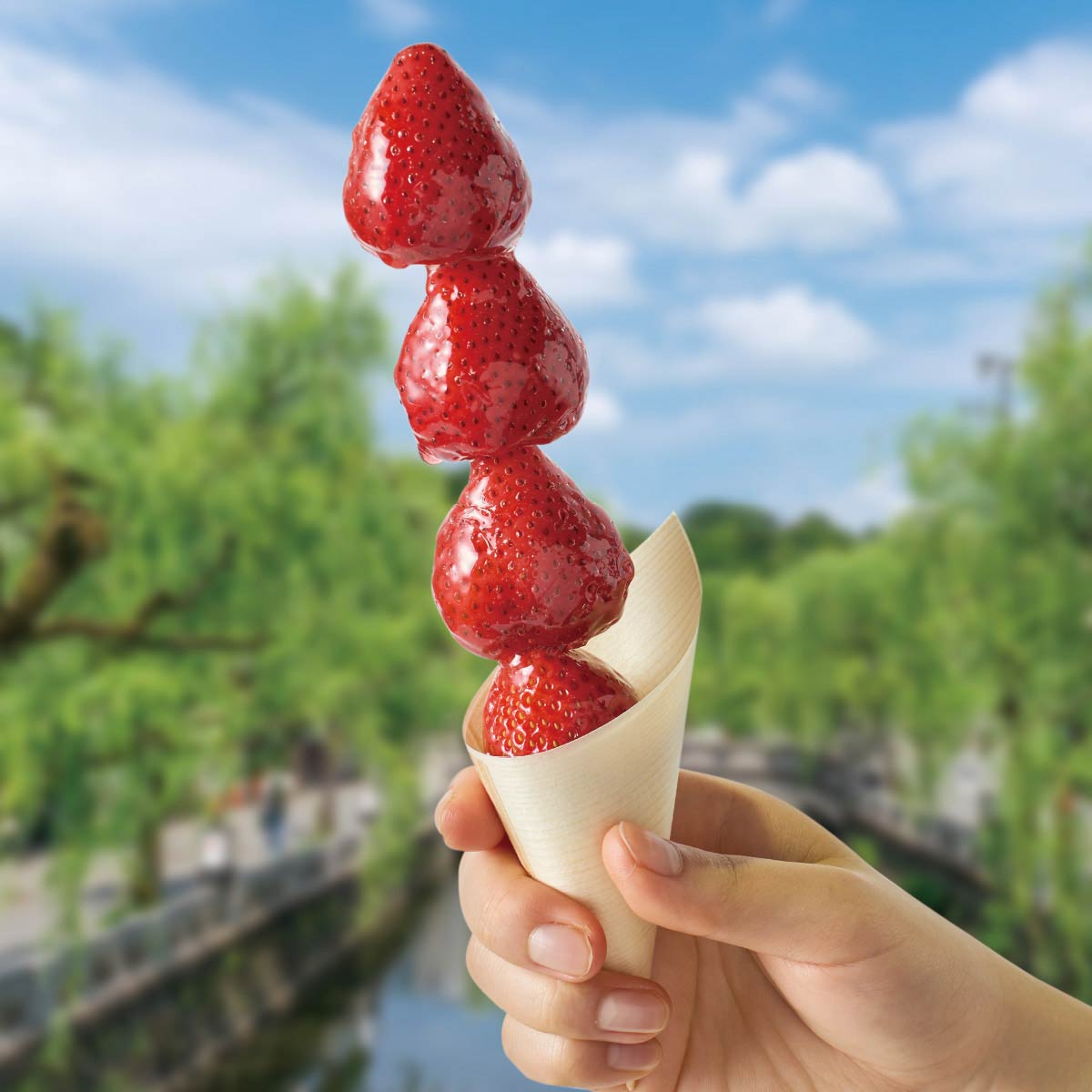 (1)直径5×高さ12.5[9]cm 使用例