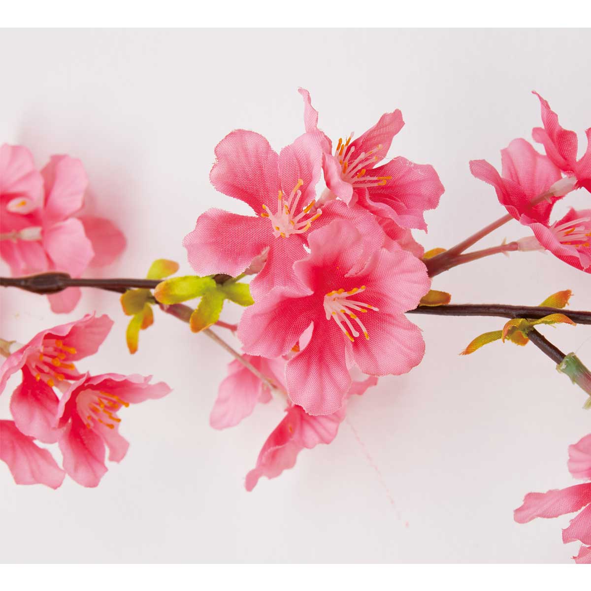 (1)ダークピンク 部分アップ