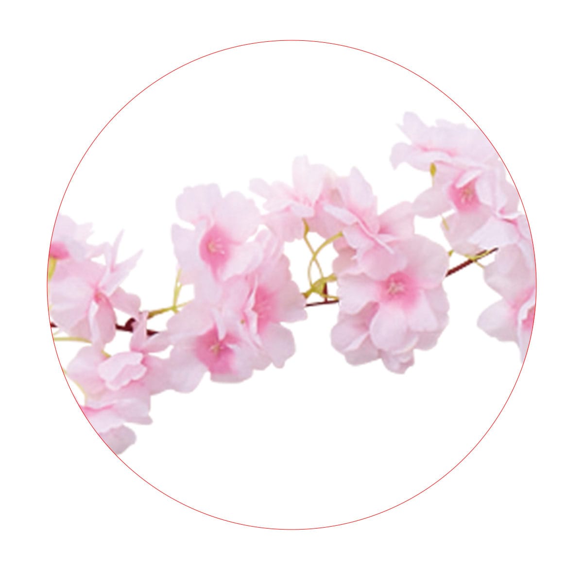 (2)213cm 部分アップ