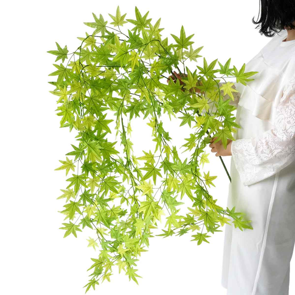 メイプルリーフシダレ185cm