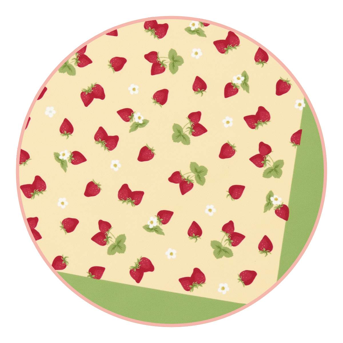 (1)いちご　部分アップ