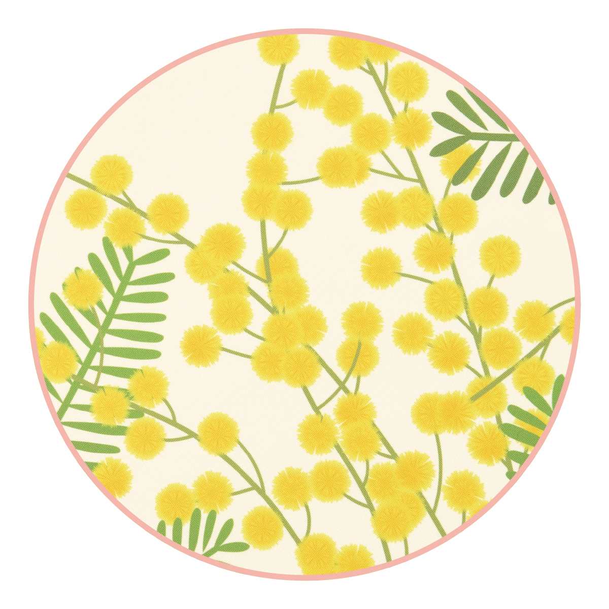 (2)ミモザ　部分アップ