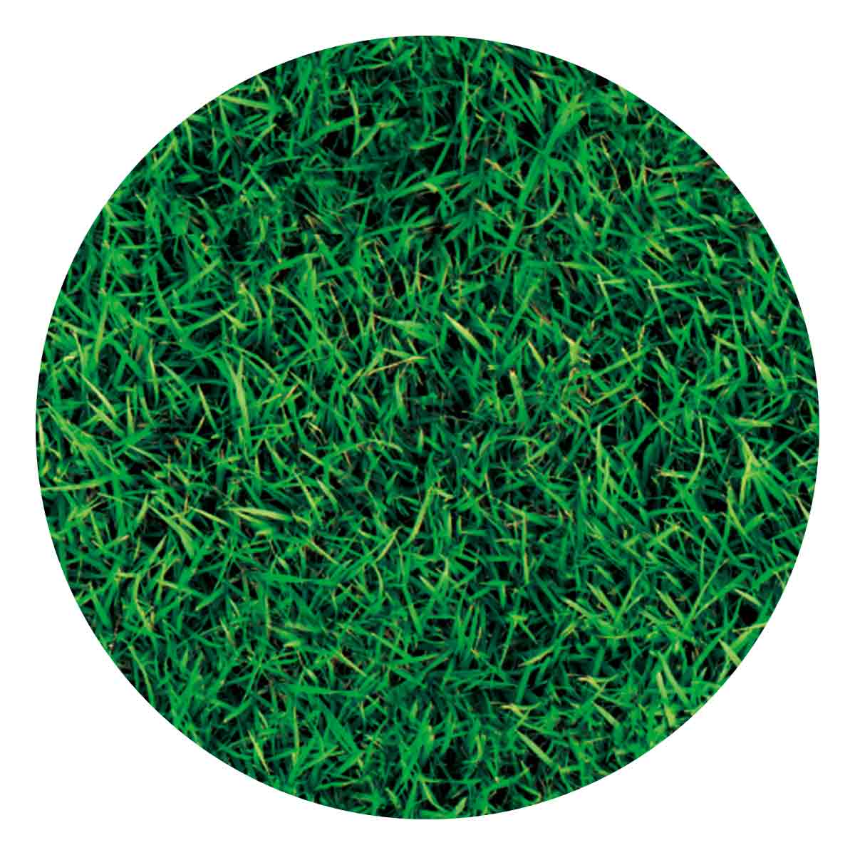 (1)ディープグリーン 部分アップ