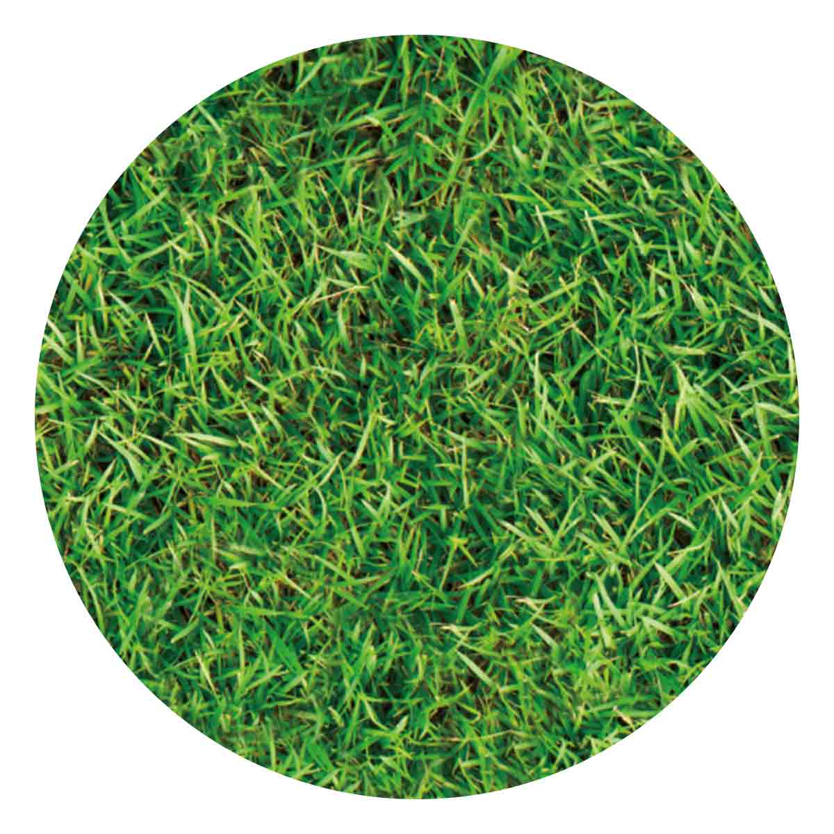 (2)ペールグリーン 部分アップ