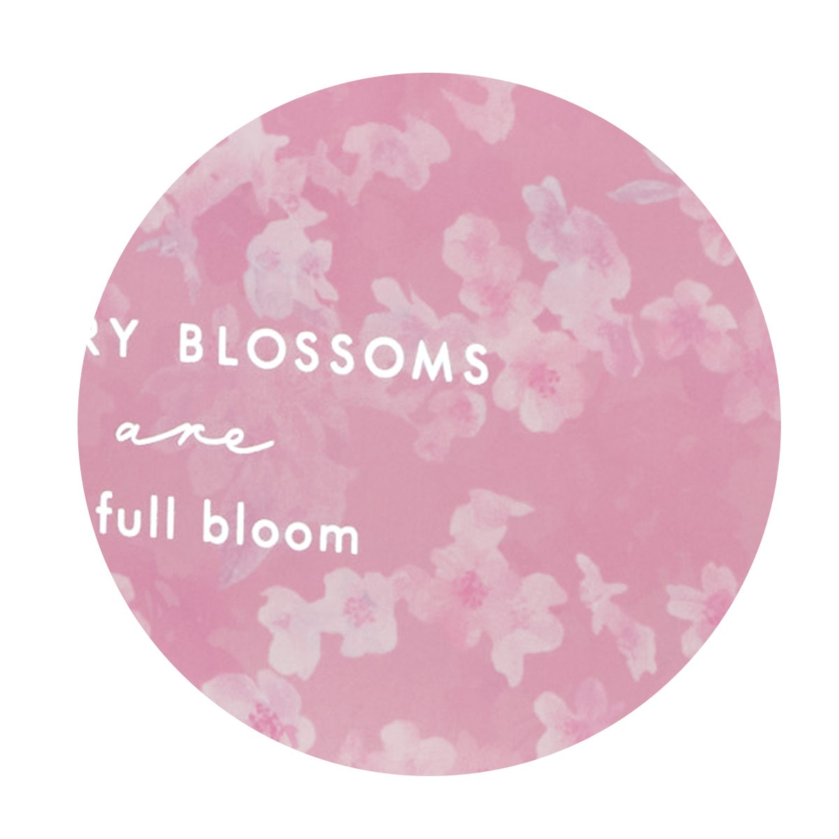 (1)ピンク 柄アップ