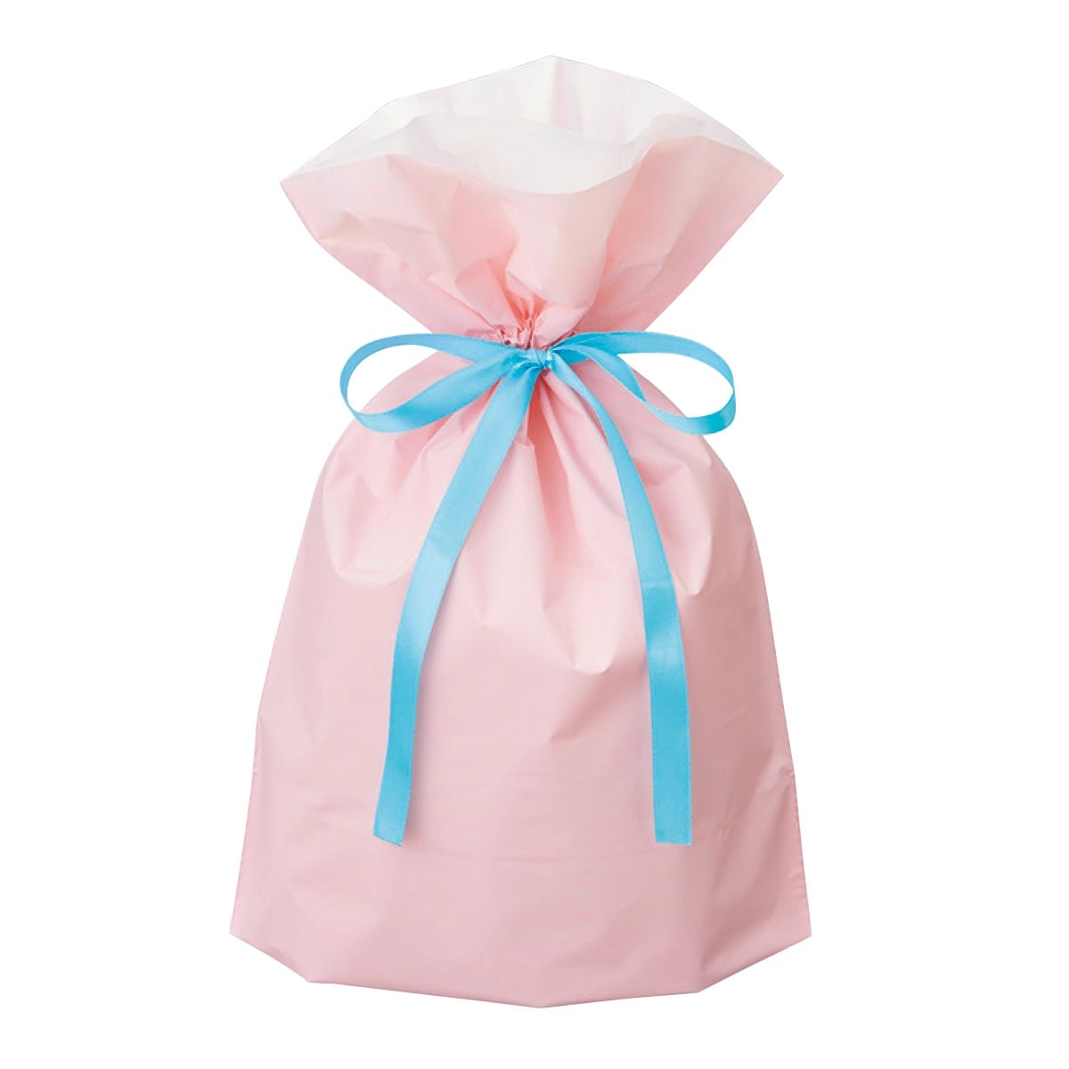 (2)24×36(24)×底マチ12cm 使用例