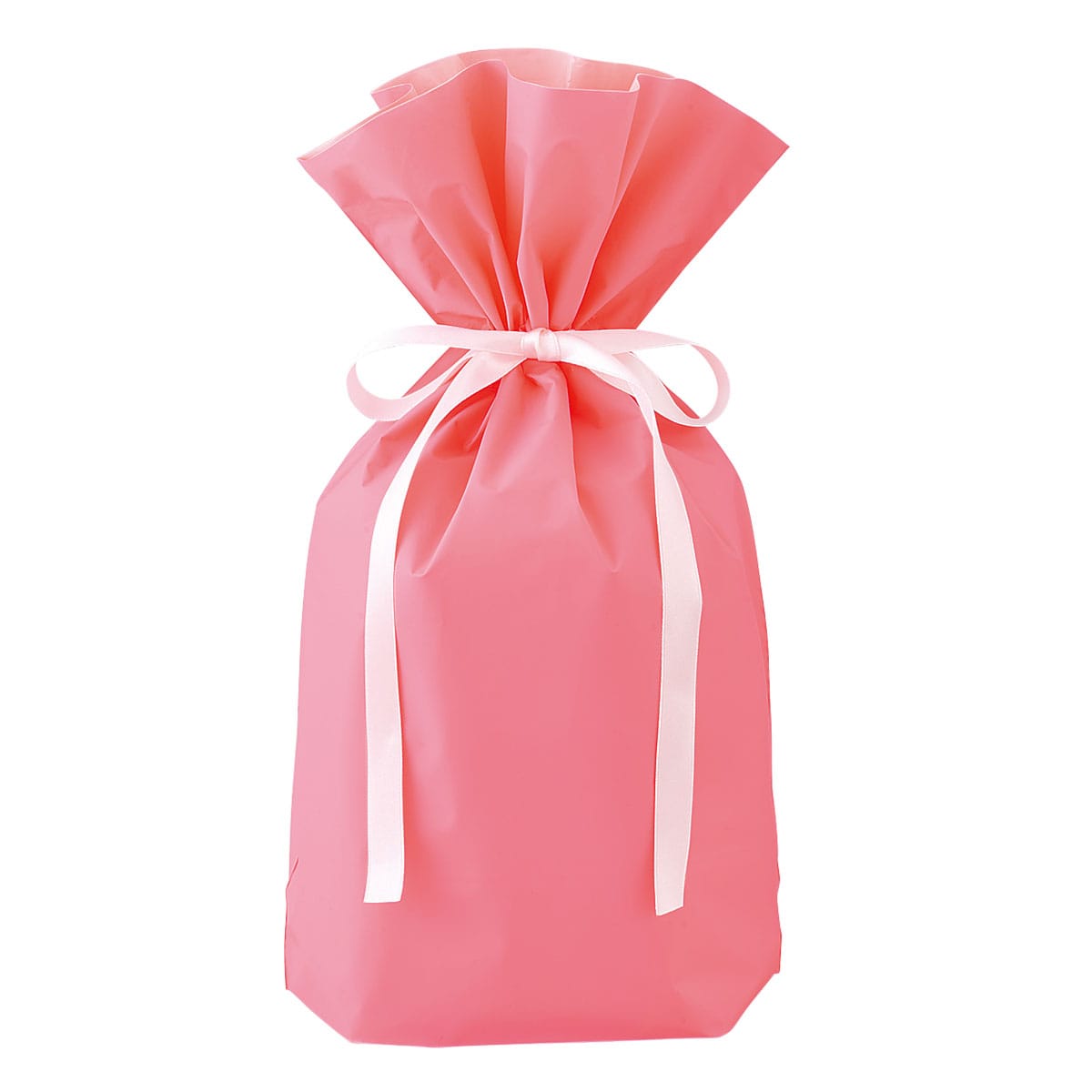 (2)24×36(24)×底マチ12cm 使用例