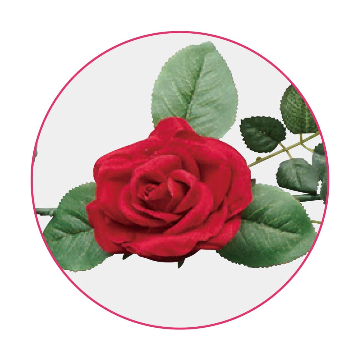 (1)レッド　部分アップ