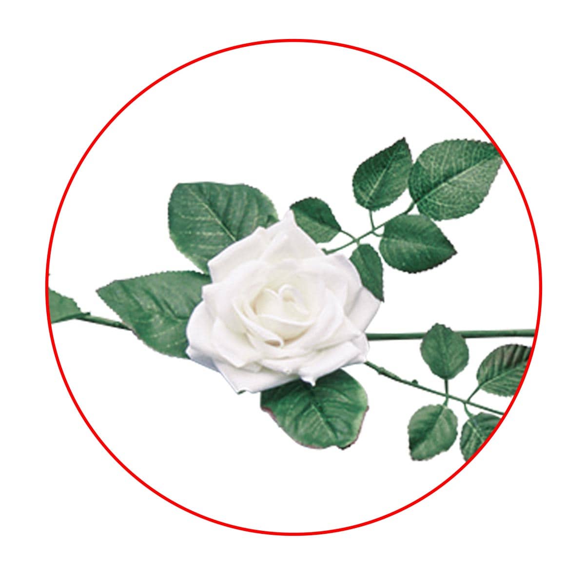 (2)ホワイト　部分アップ