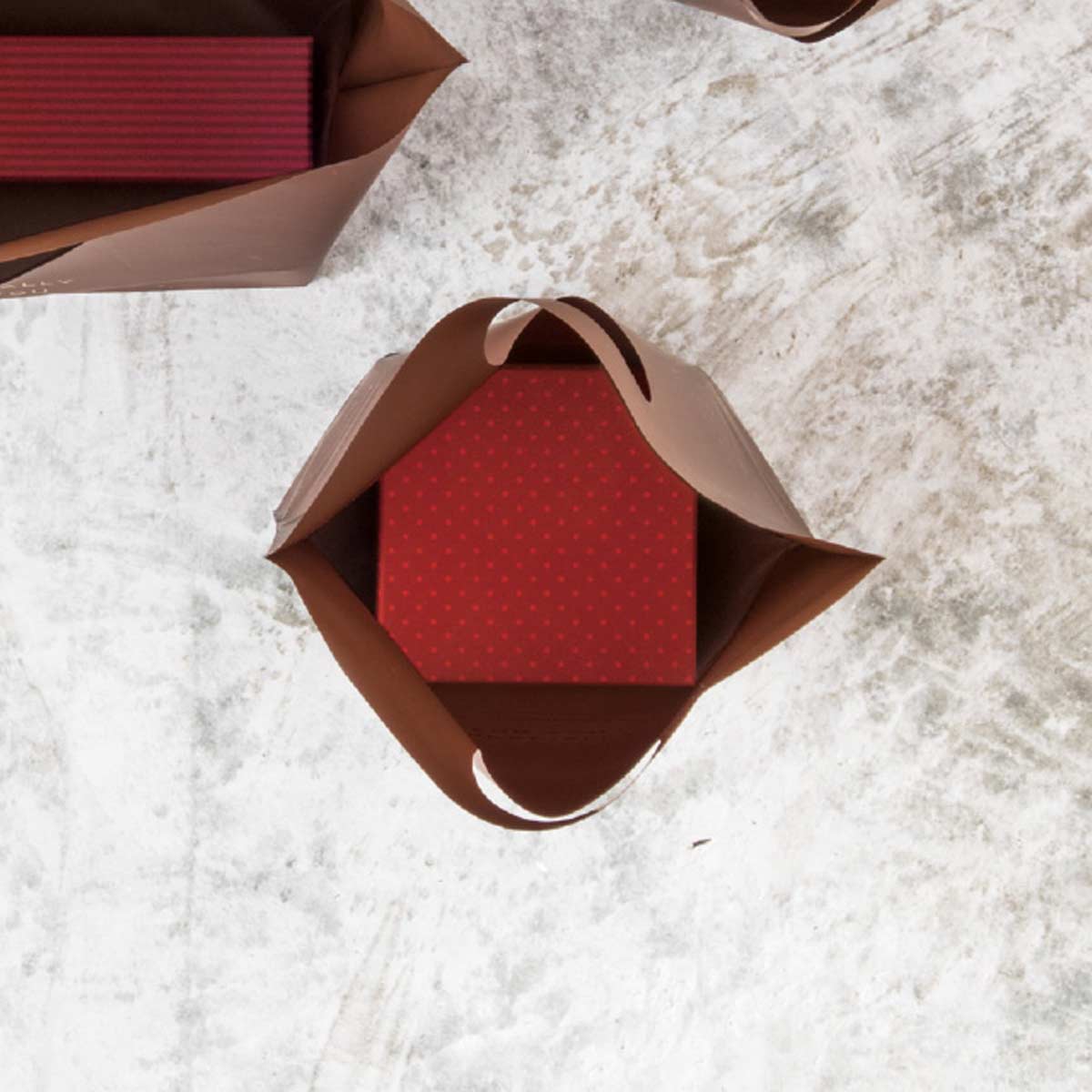 (2)20×24.5×底マチ9cm 使用例