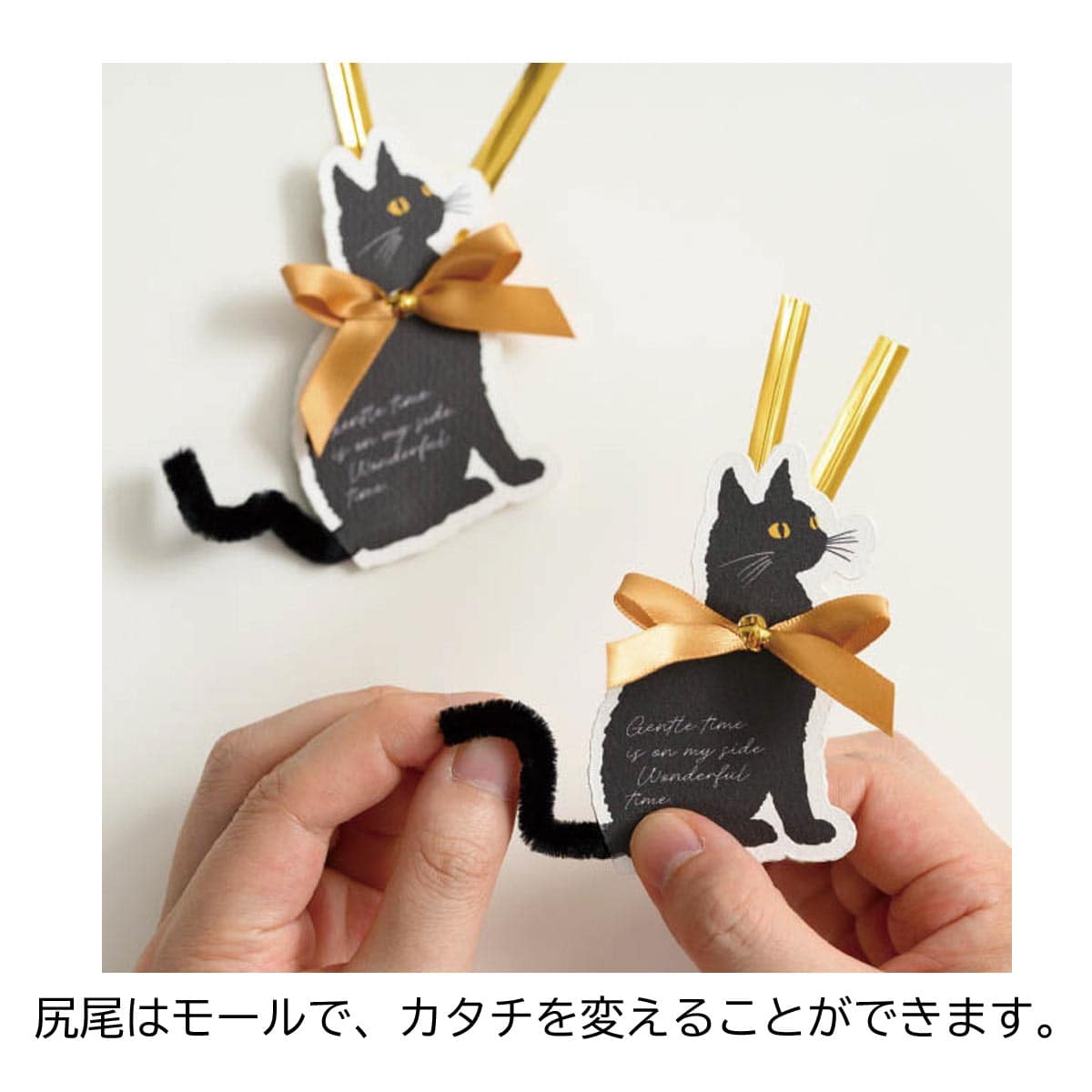 10個 ワイヤータイ ブラックキャット