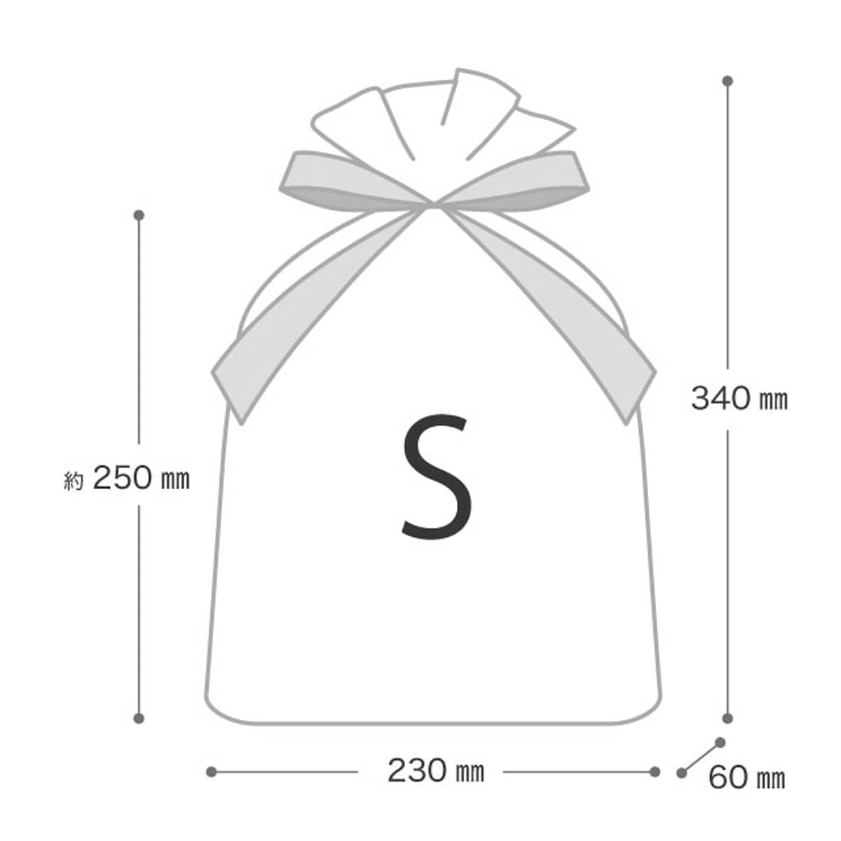 (2)23×34[25]×底マチ6cm