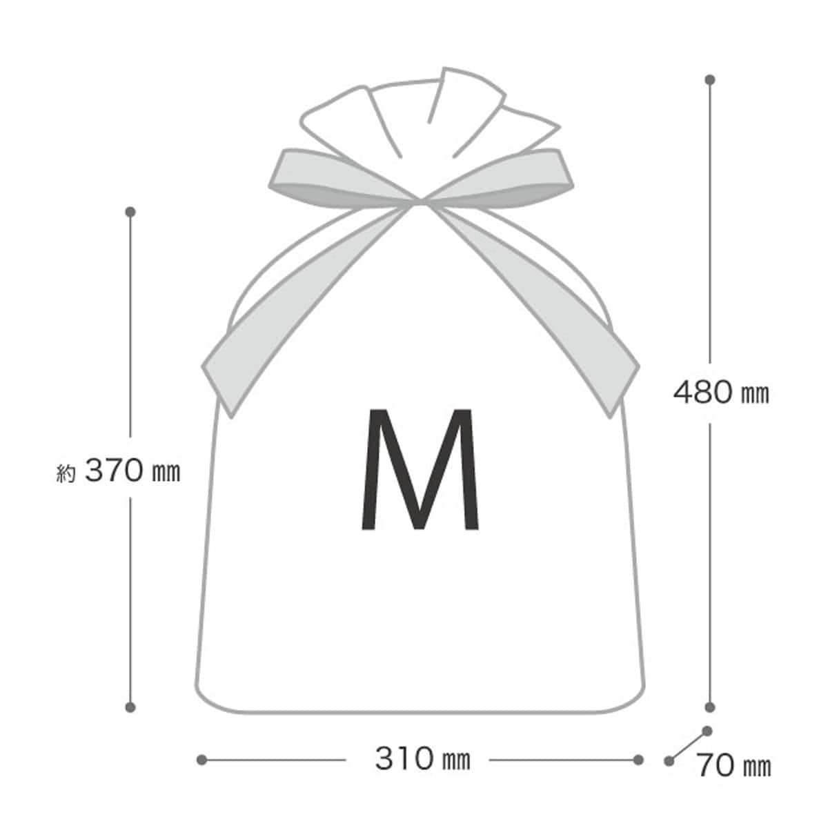 (3)31×48[37]×底マチ7cm