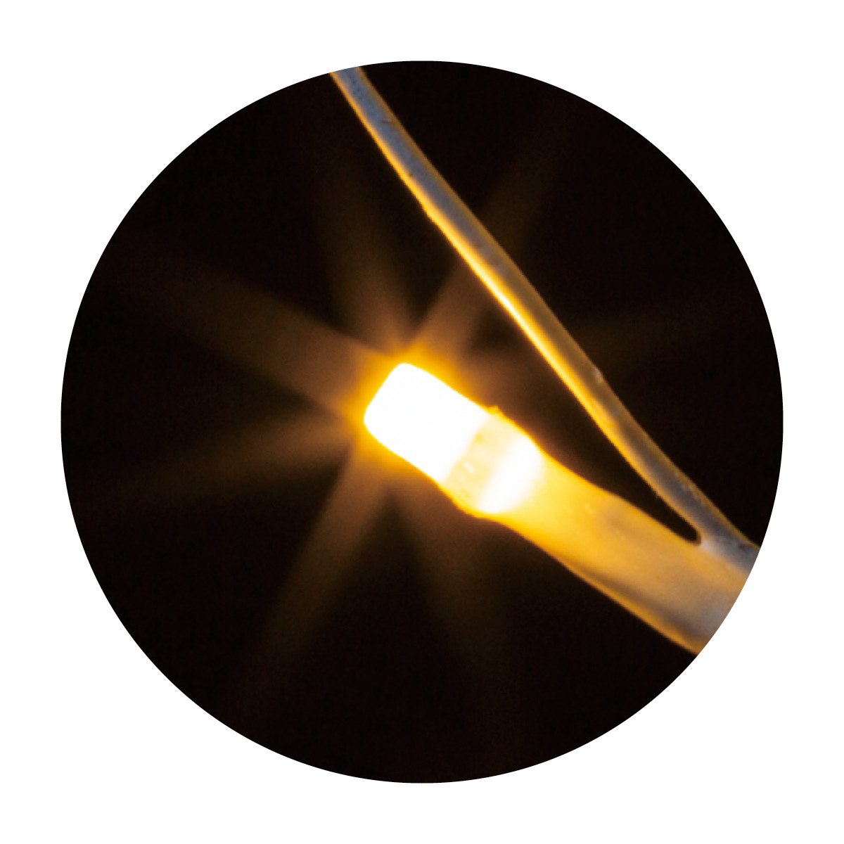 ライト部アップ