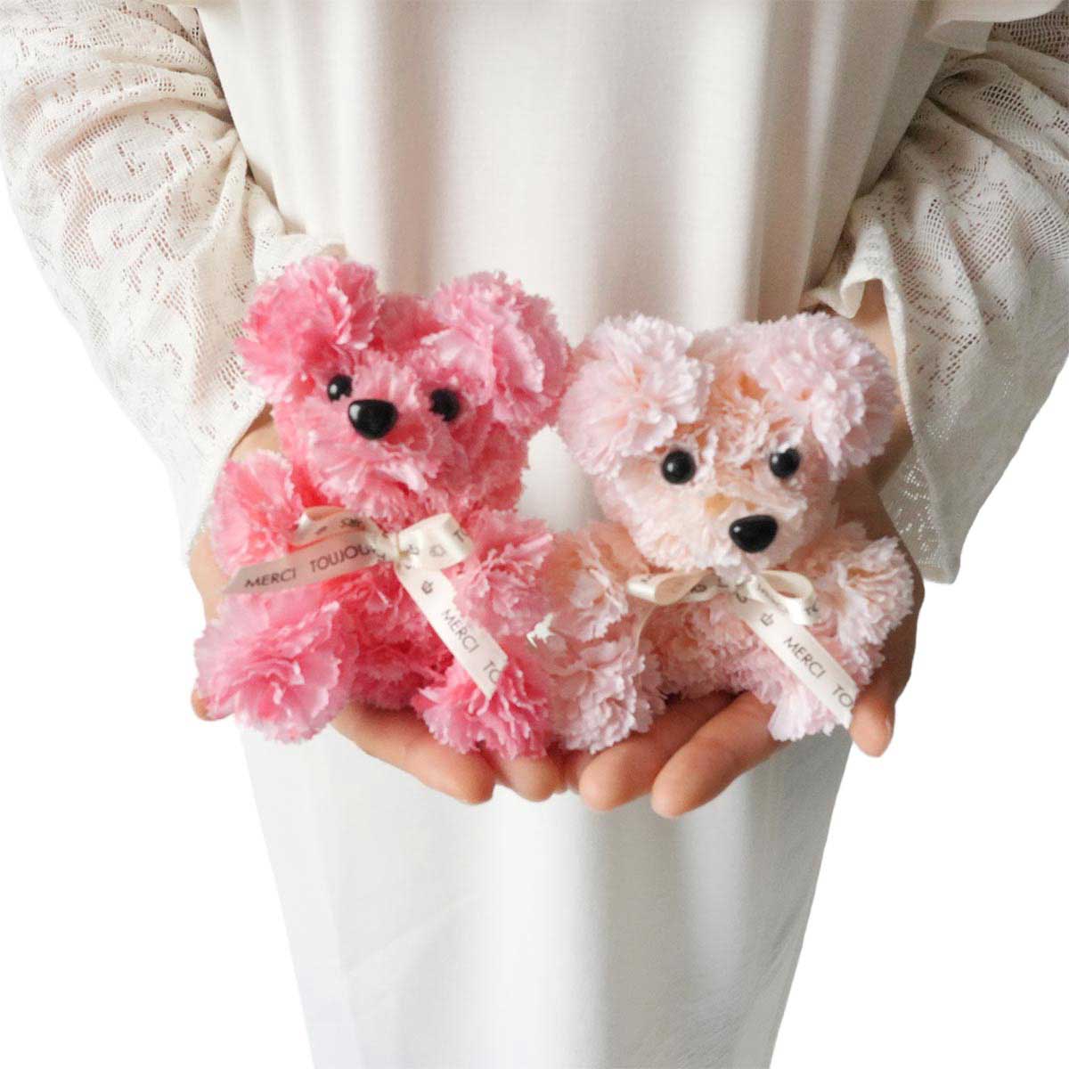 カーネーションベア