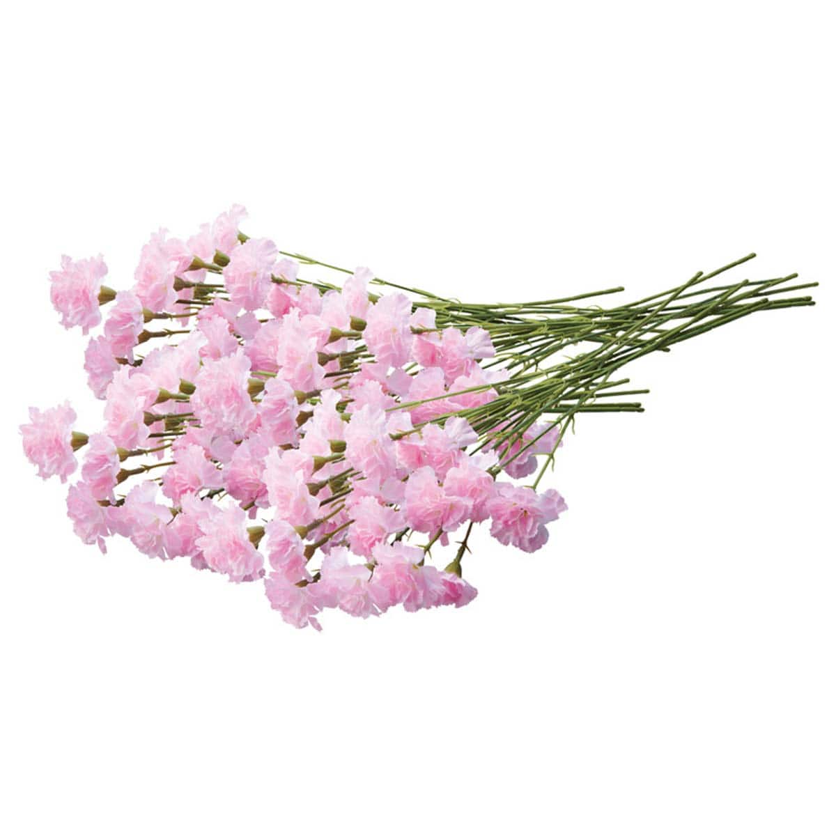 (1)ピンク 24本分