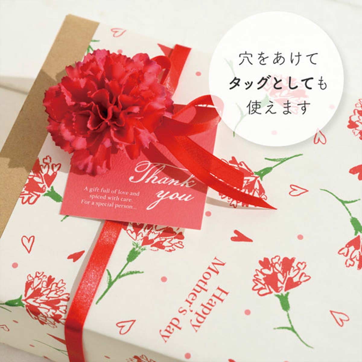 (10)フルリールレッド 使用例