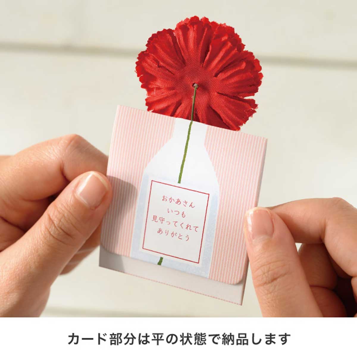 (7)ミニカーネーション