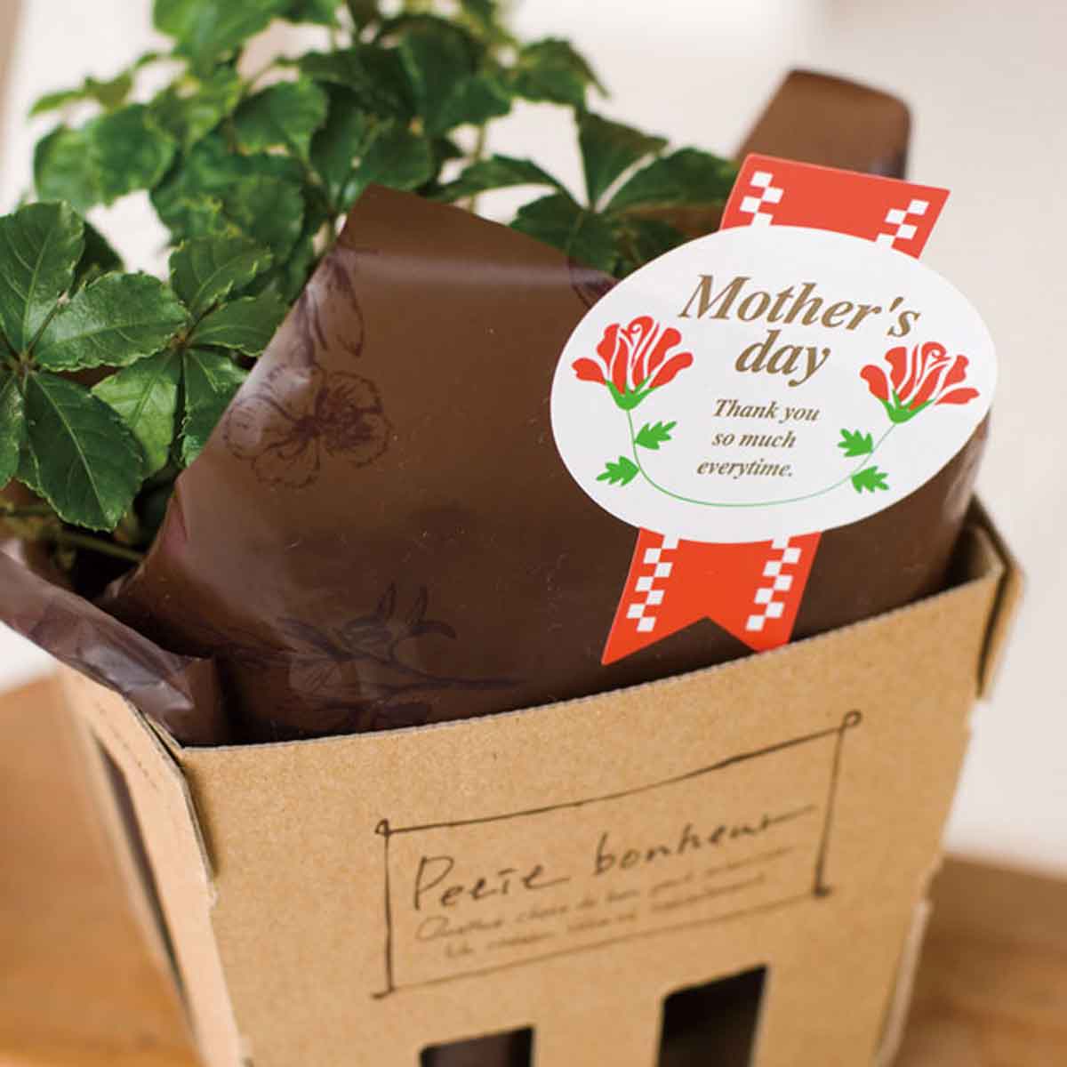 (5)カーネーション 使用例