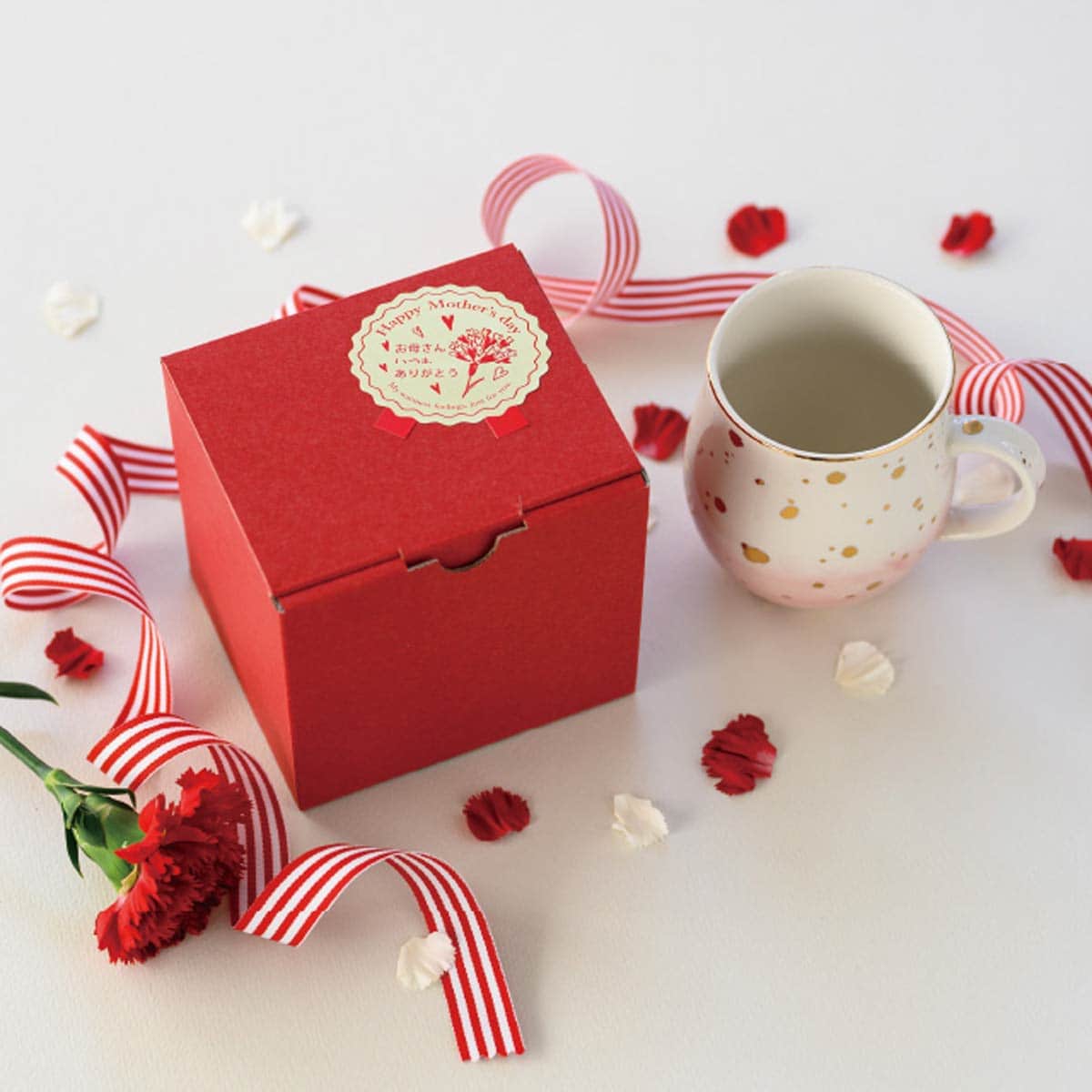 (1)12×10×11cm 使用例