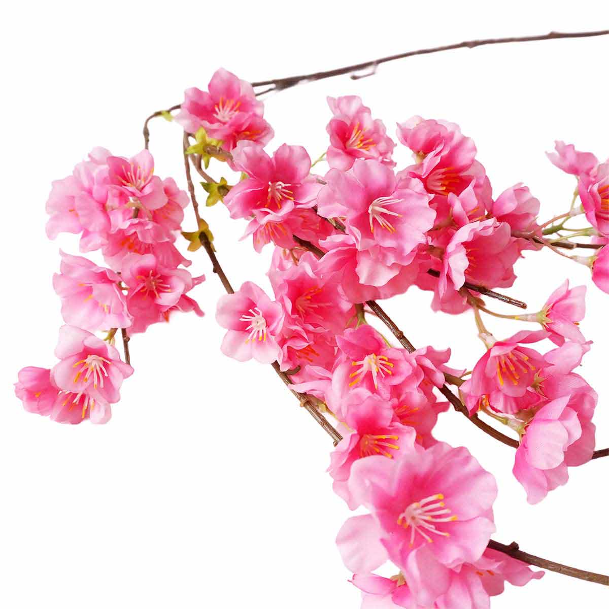 (1)ダークピンク