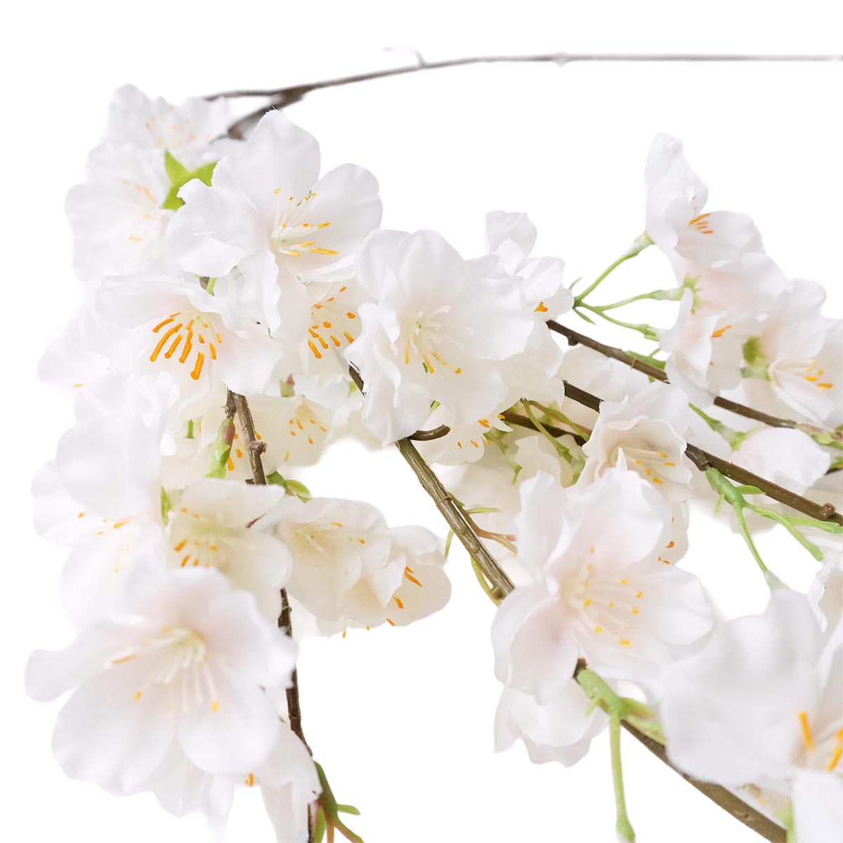 (3)ピンクホワイト