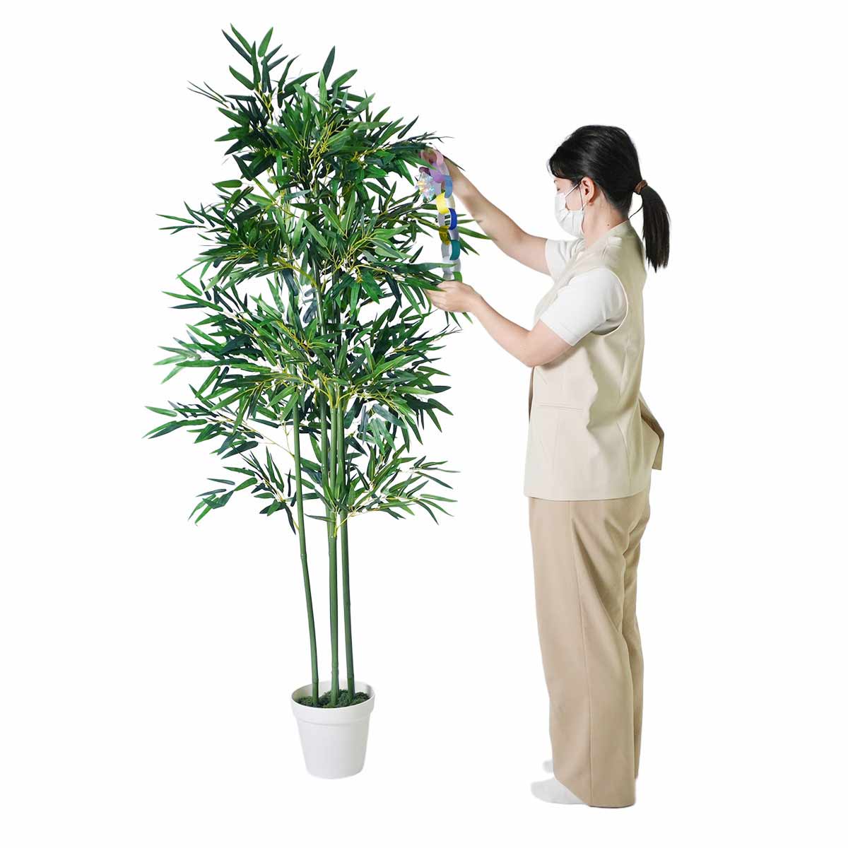 (1)バンブー 1台