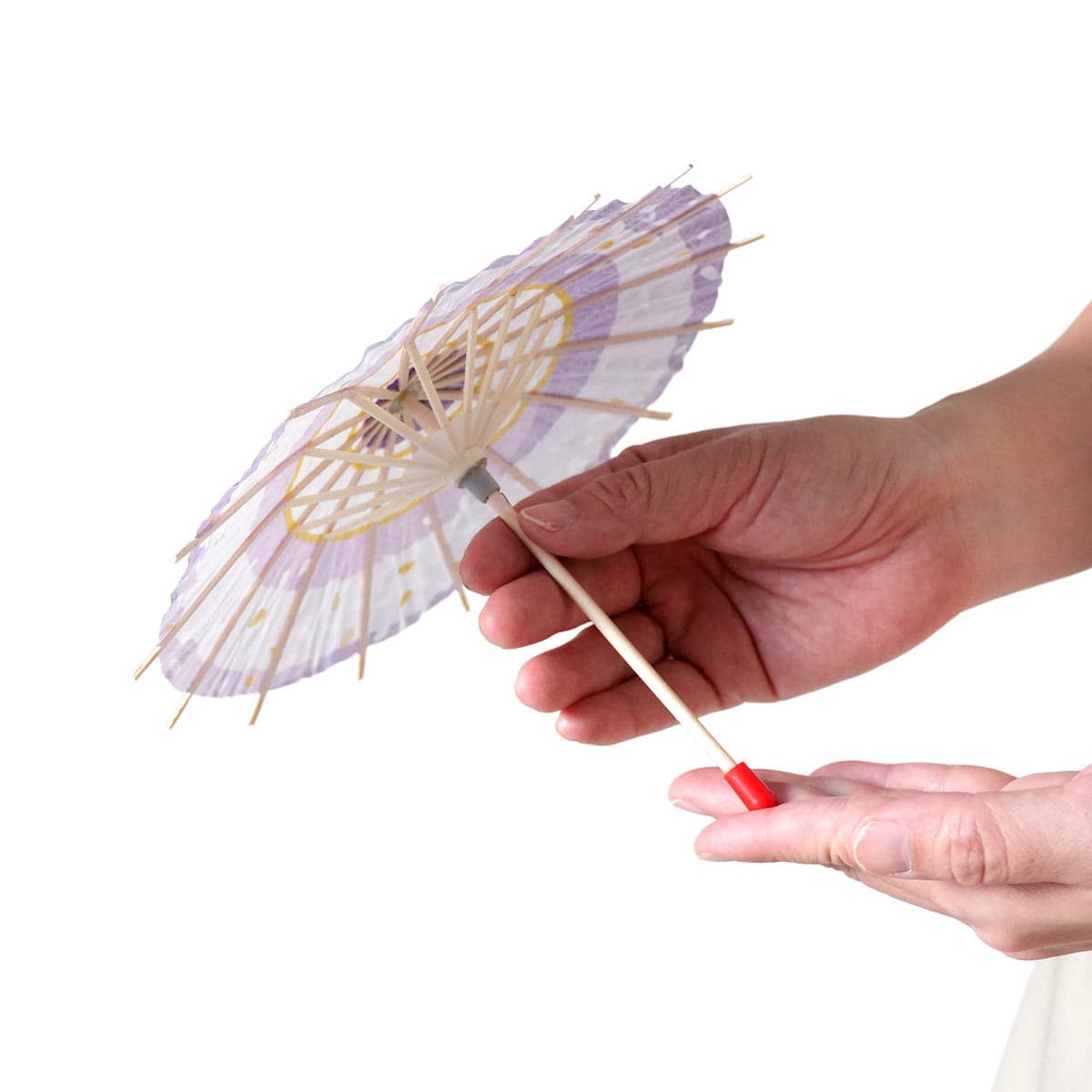 (1)パープル ミニ