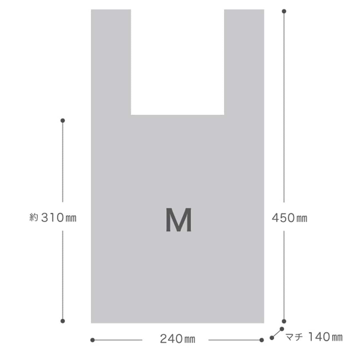 (2)24×45(31)×横マチ14cm