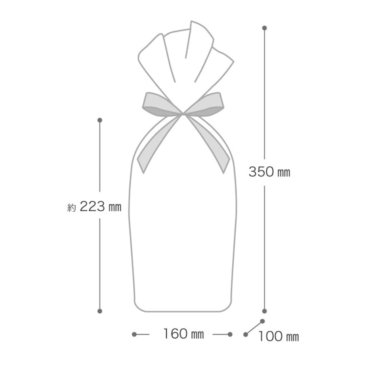 10枚 不織布リボン付きギフトバッグ ワイン用 ブラウン