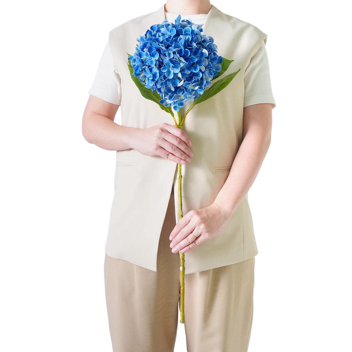 (4)ディープブルー