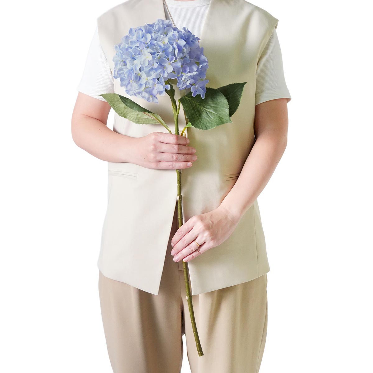 (2)ライトブルー