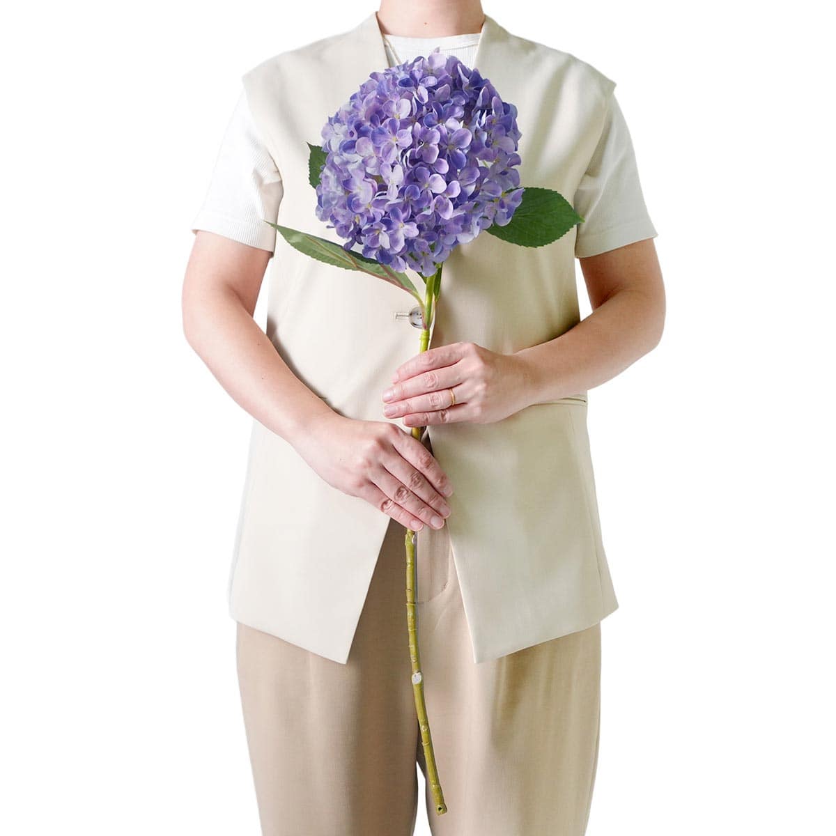 (3)ラベンダーパープル