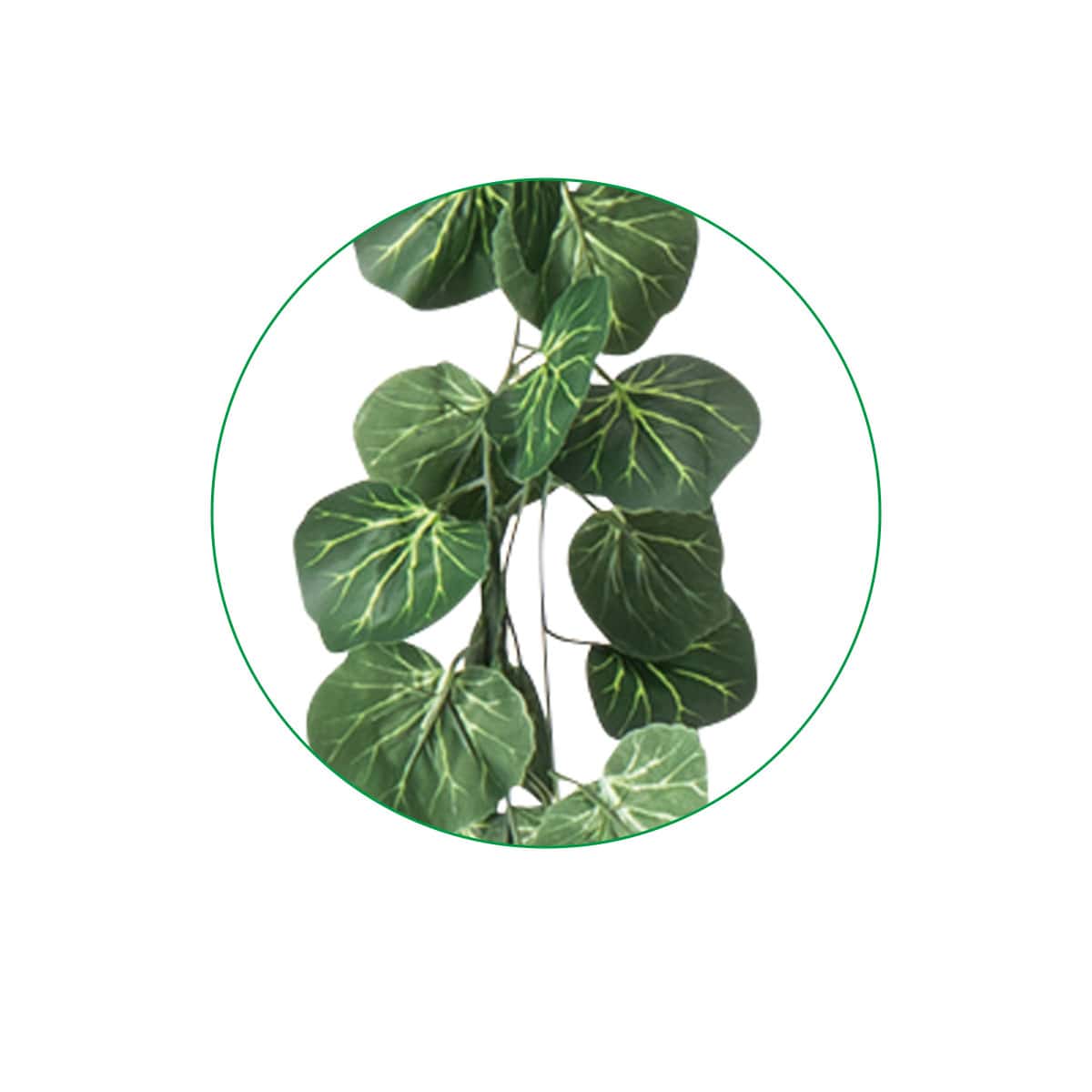 (3)ベゴニア 部分アップ