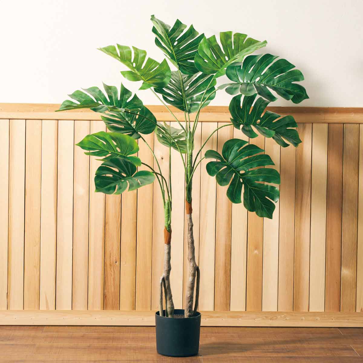 (4)モンステラ 使用例