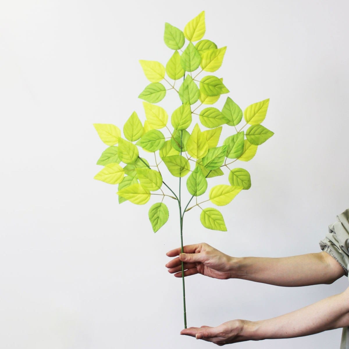 (1)スプレー 使用例