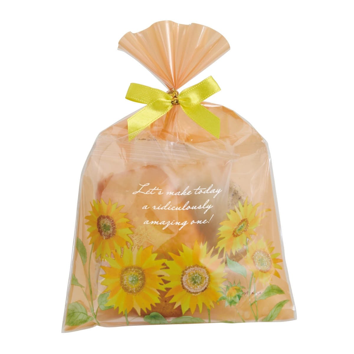 (1)12×18cm 使用例