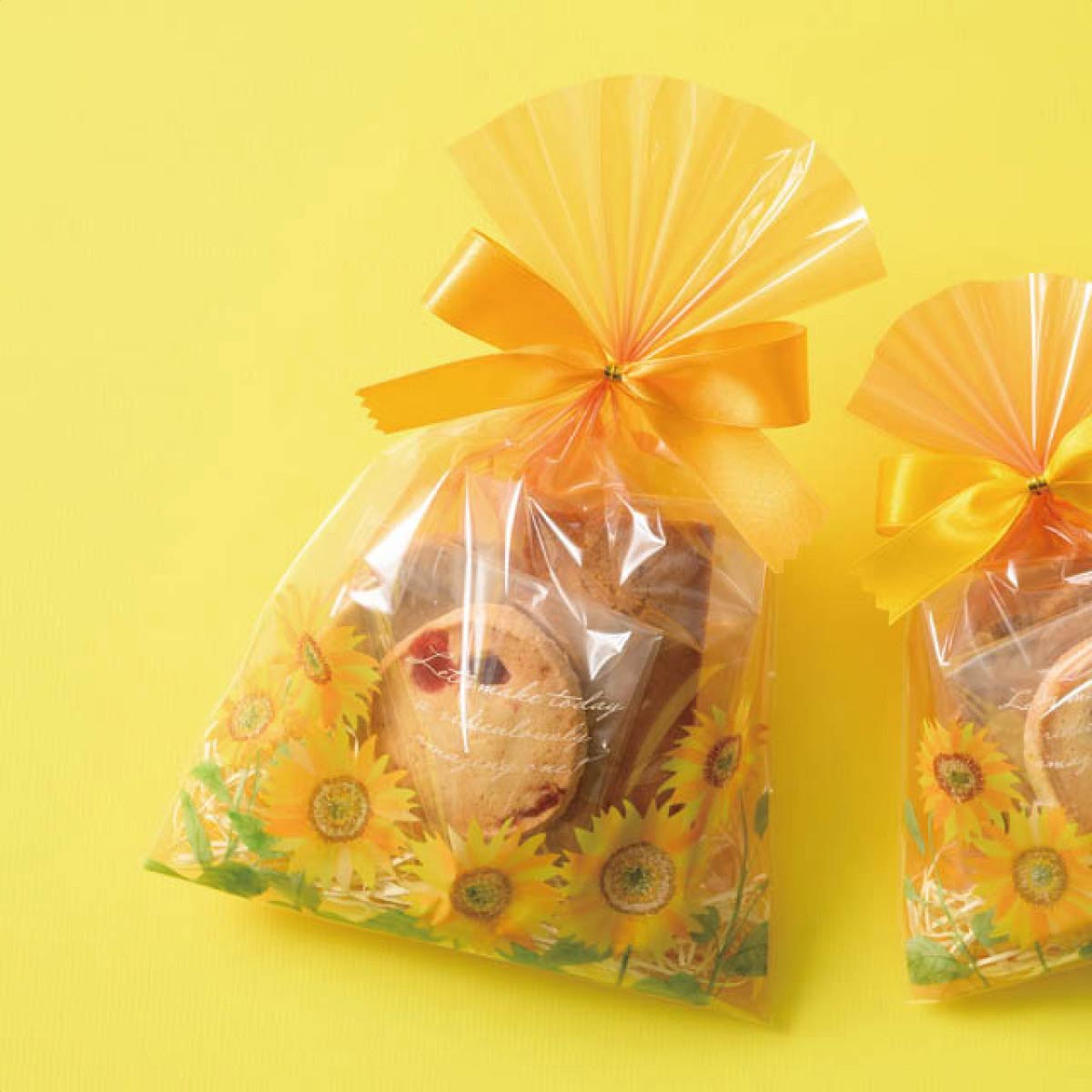 (2)15×23cm 使用例