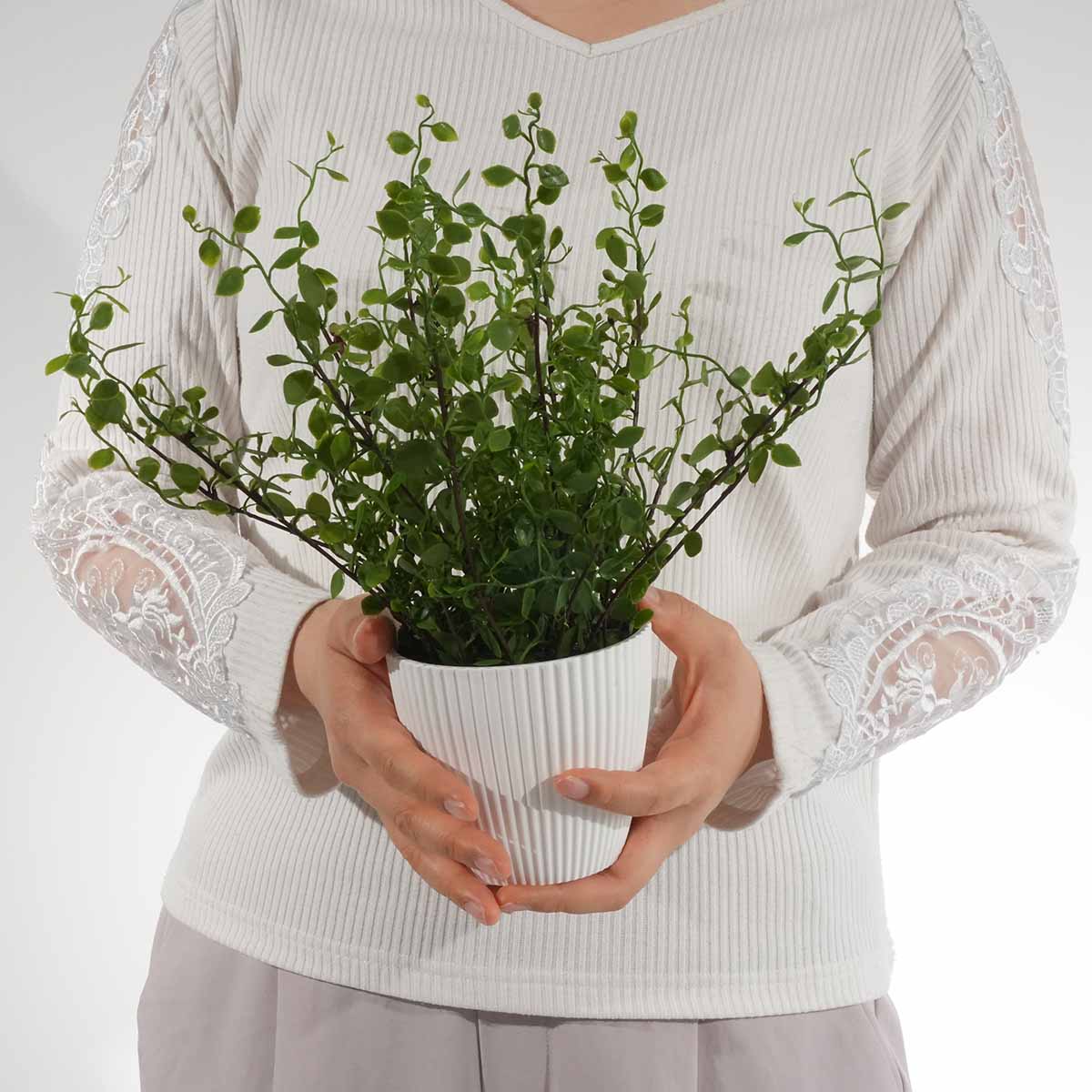 (1)ワイヤープランツ