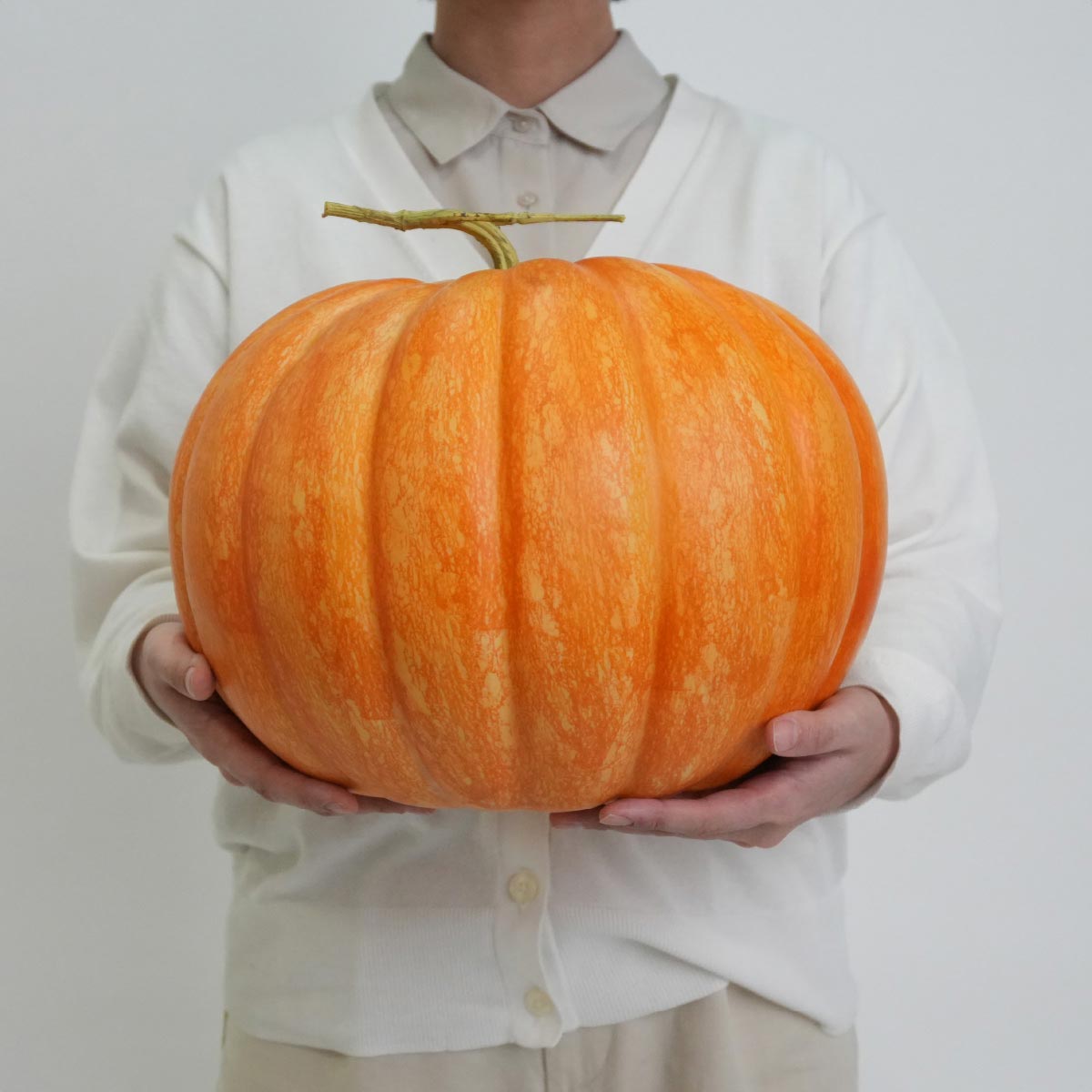 (5)高さ25cm オレンジ